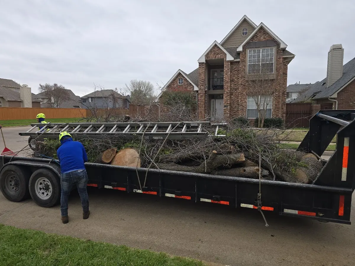 Expert Lot Clearing with proper safety equipment in Orange Park